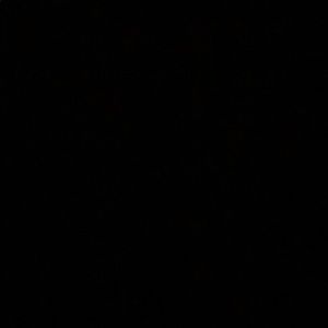 Meet your Posher, Lyndsay